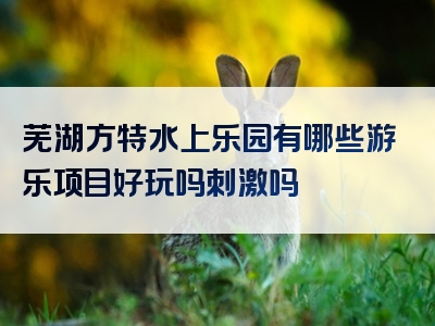 芜湖方特水上乐园有哪些游乐项目好玩吗刺激吗