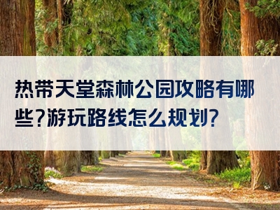 热带天堂森林公园攻略有哪些？游玩路线怎么规划？