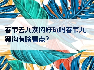 春节去九寨沟好玩吗春节九寨沟有啥看点？