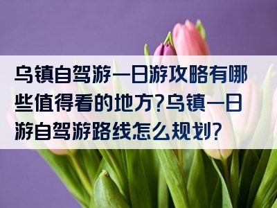 乌镇自驾游一日游攻略有哪些值得看的地方？乌镇一日游自驾游路线怎么规划？