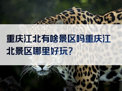 重庆江北有啥景区吗重庆江北景区哪里好玩？