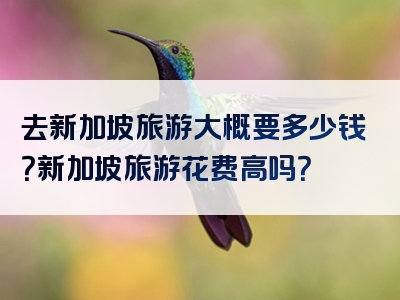 去新加坡旅游大概要多少钱？新加坡旅游花费高吗？