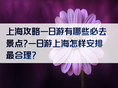 上海攻略一日游有哪些必去景点？一日游上海怎样安排最合理？