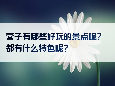 营子有哪些好玩的景点呢？都有什么特色呢？