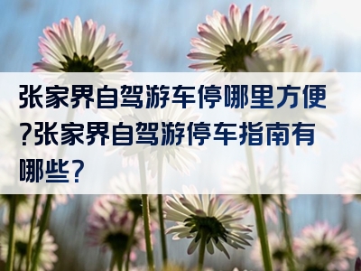 张家界自驾游车停哪里方便？张家界自驾游停车指南有哪些？