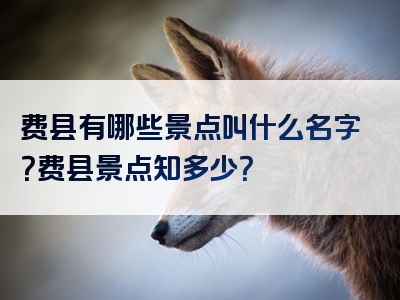 费县有哪些景点叫什么名字？费县景点知多少？