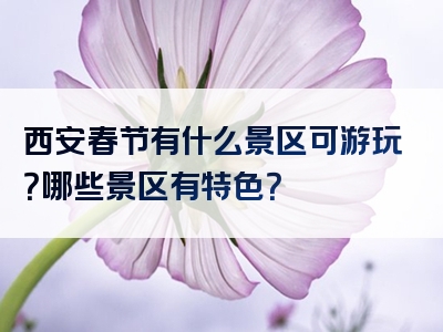西安春节有什么景区可游玩？哪些景区有特色？