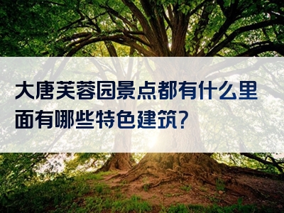 大唐芙蓉园景点都有什么里面有哪些特色建筑？