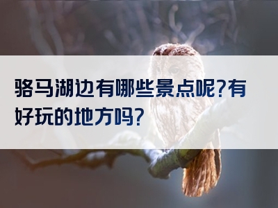 骆马湖边有哪些景点呢？有好玩的地方吗？