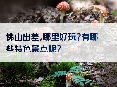 佛山出差，哪里好玩？有哪些特色景点呢？