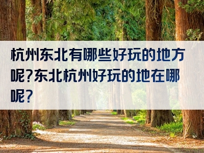 杭州东北有哪些好玩的地方呢？东北杭州好玩的地在哪呢？