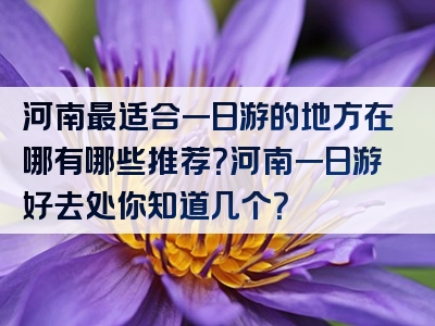 河南最适合一日游的地方在哪有哪些推荐？河南一日游好去处你知道几个？