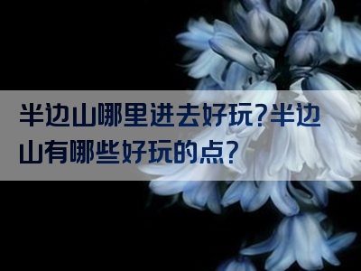 半边山哪里进去好玩？半边山有哪些好玩的点？