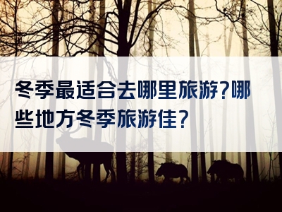 冬季最适合去哪里旅游？哪些地方冬季旅游佳？