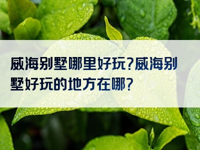 威海别墅哪里好玩？威海别墅好玩的地方在哪？