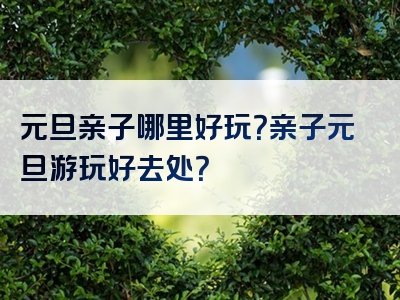 元旦亲子哪里好玩？亲子元旦游玩好去处？