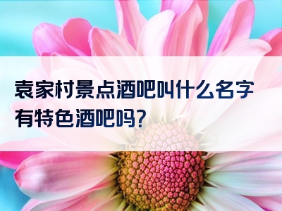 袁家村景点酒吧叫什么名字有特色酒吧吗？