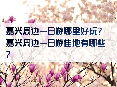 嘉兴周边一日游哪里好玩？嘉兴周边一日游佳地有哪些？