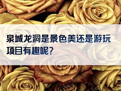 泉城龙洞是景色美还是游玩项目有趣呢？