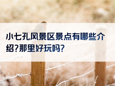 小七孔风景区景点有哪些介绍？那里好玩吗？