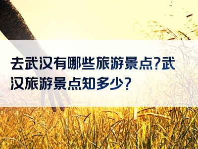 去武汉有哪些旅游景点？武汉旅游景点知多少？