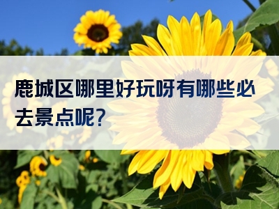 鹿城区哪里好玩呀有哪些必去景点呢？