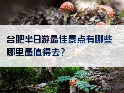 合肥半日游最佳景点有哪些哪里最值得去？