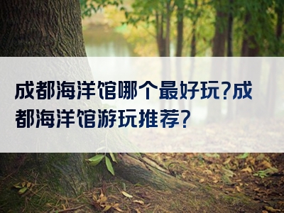 成都海洋馆哪个最好玩？成都海洋馆游玩推荐？