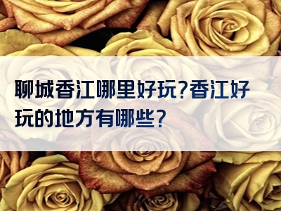 聊城香江哪里好玩？香江好玩的地方有哪些？