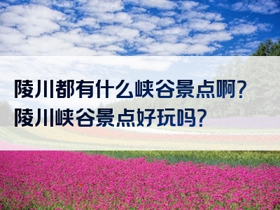 陵川都有什么峡谷景点啊？陵川峡谷景点好玩吗？