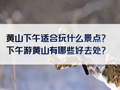 黄山下午适合玩什么景点？下午游黄山有哪些好去处？