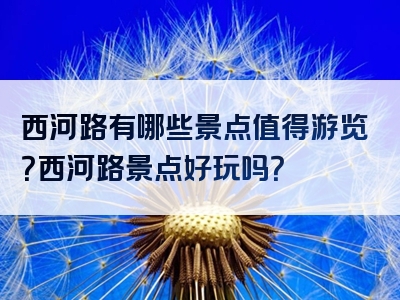西河路有哪些景点值得游览？西河路景点好玩吗？