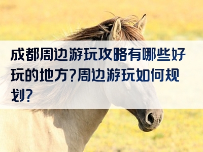 成都周边游玩攻略有哪些好玩的地方？周边游玩如何规划？