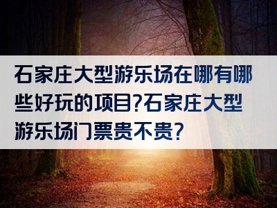 石家庄大型游乐场在哪有哪些好玩的项目？石家庄大型游乐场门票贵不贵？
