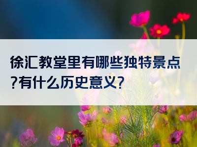 徐汇教堂里有哪些独特景点？有什么历史意义？