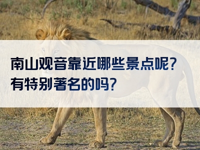 南山观音靠近哪些景点呢？有特别著名的吗？