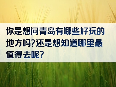 你是想问青岛有哪些好玩的地方吗？还是想知道哪里最值得去呢？