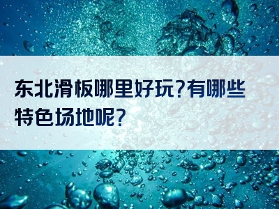 东北滑板哪里好玩？有哪些特色场地呢？