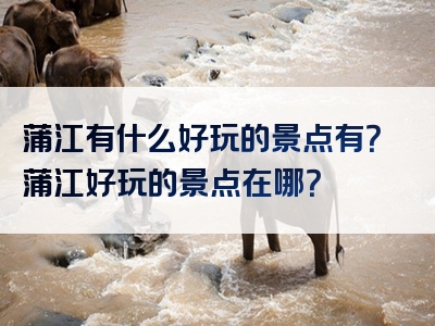 蒲江有什么好玩的景点有？蒲江好玩的景点在哪？