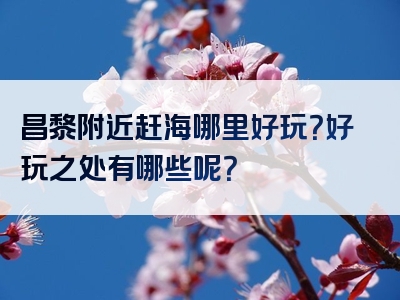 昌黎附近赶海哪里好玩？好玩之处有哪些呢？