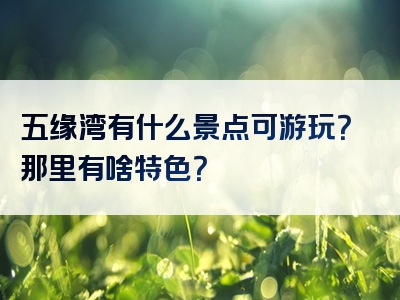 五缘湾有什么景点可游玩？那里有啥特色？