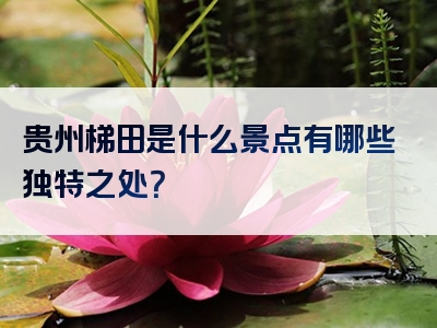 贵州梯田是什么景点有哪些独特之处？