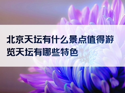 北京天坛有什么景点值得游览天坛有哪些特色