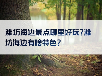 潍坊海边景点哪里好玩？潍坊海边有啥特色？