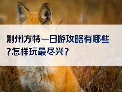 荆州方特一日游攻略有哪些？怎样玩最尽兴？