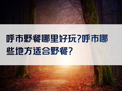 呼市野餐哪里好玩？呼市哪些地方适合野餐？