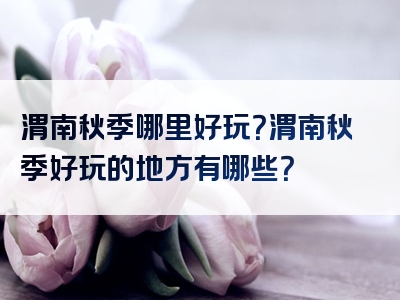渭南秋季哪里好玩？渭南秋季好玩的地方有哪些？