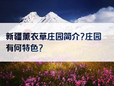新疆薰衣草庄园简介？庄园有何特色？