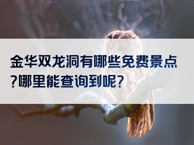 金华双龙洞有哪些免费景点？哪里能查询到呢？