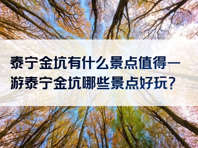 泰宁金坑有什么景点值得一游泰宁金坑哪些景点好玩？
